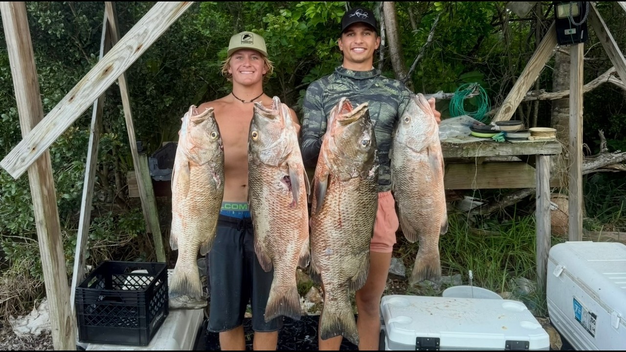 Spearing MASSIVE Cuberas | Never expected this | 🇧🇸 | INSANE 4K Dive footage