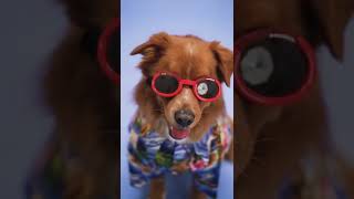 5 ways to be late for a meeting #shorts
