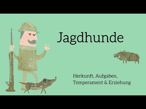 Jagdhunde, Windhunde und Terrier – Online-Vortrag zu Hunderassen