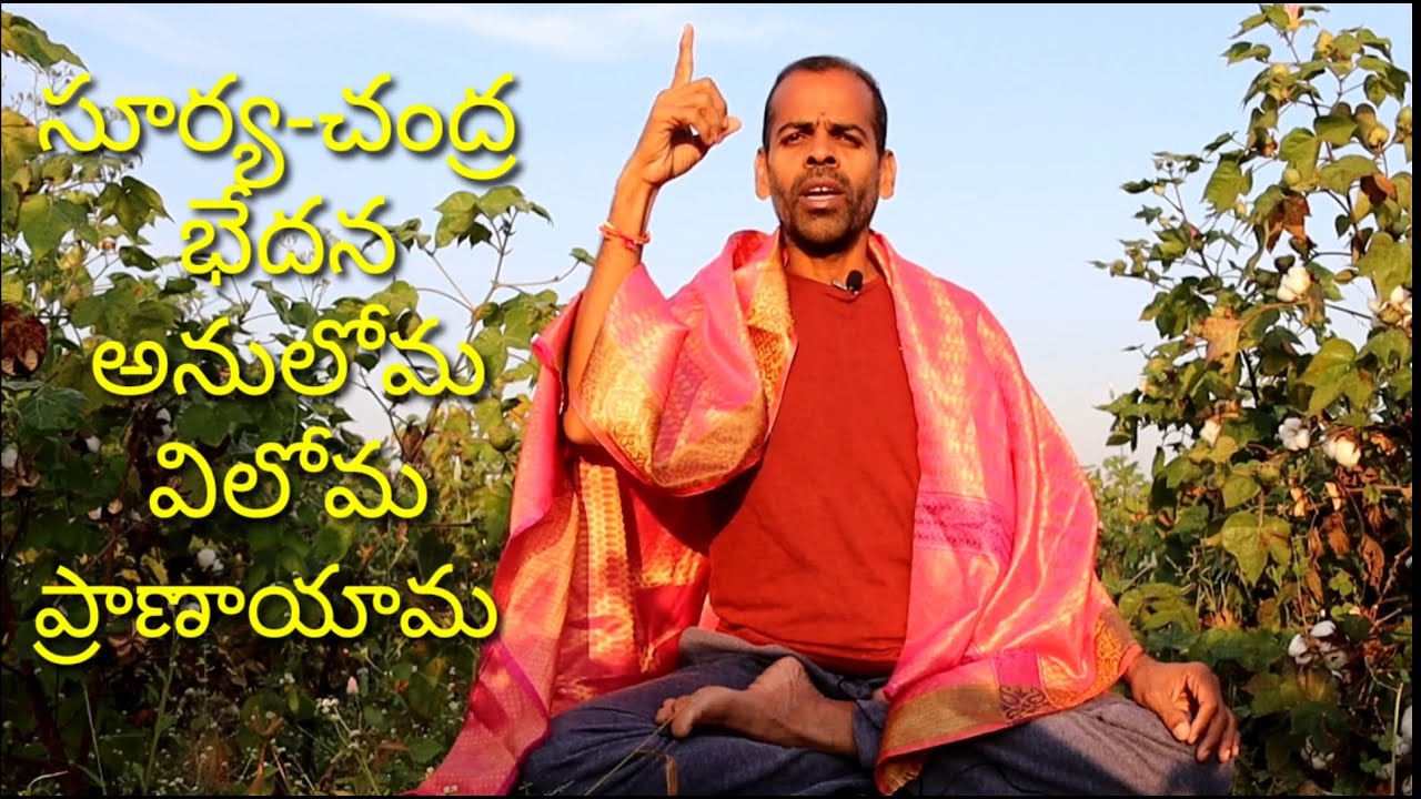 సూర్య-చంద్రభేదన ప్రాణాయామ | సూర్య-చంద్ర అనులోమ విలోమ ప్రాణాయామ|Swami Vivekananda Yoga Trust |