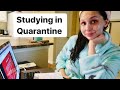 How I Study & Stay Motivated (quarantine edition)