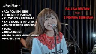 Download lagu aca aca nehi nehi sallsa Bintan feat 3 pemuda berbahaya| full album