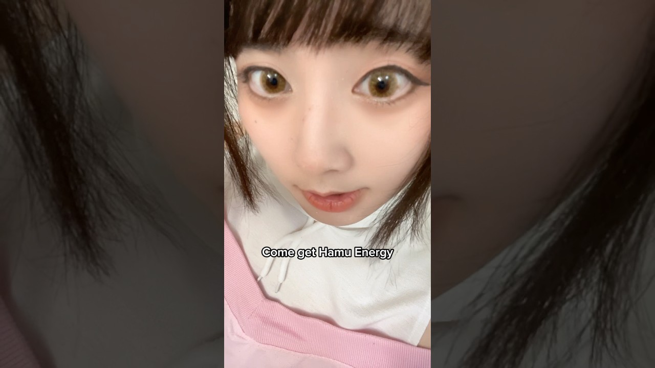 [HAMU NEWS] Hamu birthday events are next weekend March 14&15!!