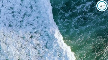 سورة الرحمن من الاية 1 الى الاية 7