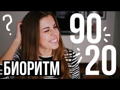 Как поднять работоспособность при помощи биоритмов?