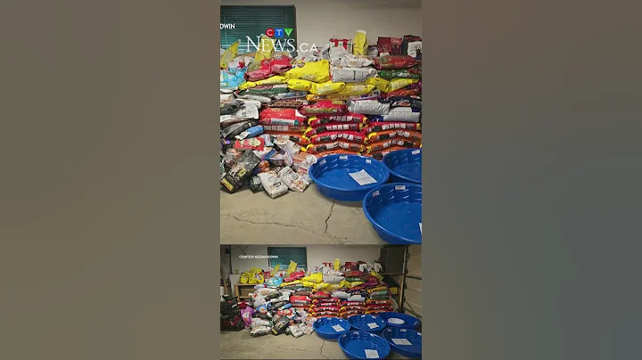 Volunteers feed pets in communities affected by Sask. wildfires