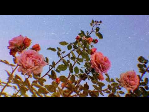 Laying in a field of wildflowers || A cottagecore study playlist