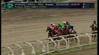 Carr. 2 Premio: GREAT DANCE (2014) 03-10-2019