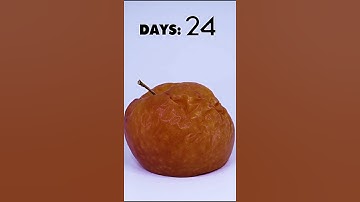 Rotten apple Timelapse vedio #timelapse #shorts #trendingshorts #viral