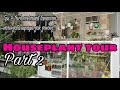 Houseplant tour 2 bikin balkon jadi tempat favorit  ep 42