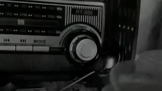 Sizce Nasıl ? - Whatsapp Durum Video Anlamlı Sözler-Etkileyici Sözler - Güzel Sözler - Kısa Videolar