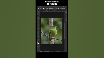 How To Blur Backgrounds in Photoshop FAST & EASY! #blurbackground  #photoshop #designtutorial
