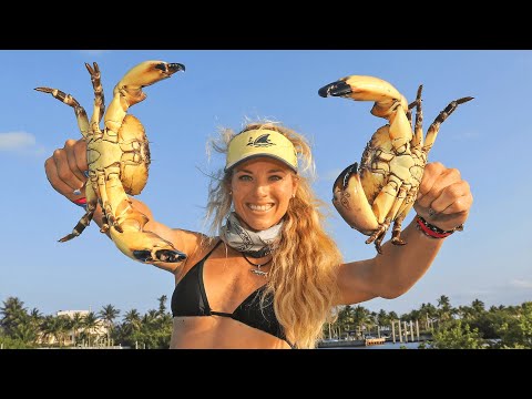 Best Tips On How To Catch Florida Stone Crabs 