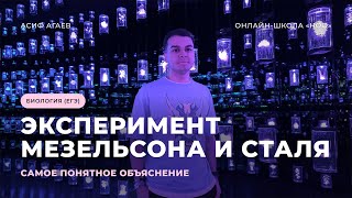 ЭКСПЕРИМЕНТ МЕЗЕЛЬСОНА И СТАЛЯ | САМОЕ ПОНЯТНОЕ ОБЪЯСНЕНИЕ | ЕГЭ 2024 | НОО