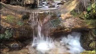 Masteran Kunti dengan percikan Air jernih di jamin cepat masuk 100%