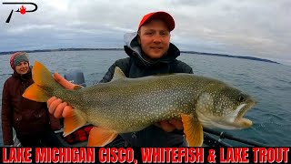 Lake Michigan Cisco Whitefish Lake Trout Fishing