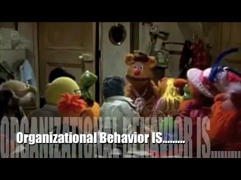 Organizational Behavior by Tee Jordan