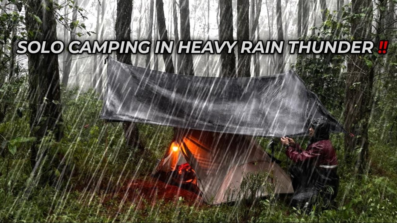 Solo Camping in the Forest During Heavy Thunder Rain! • the struggle to ...