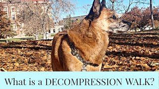 What is a Decompression Walk?