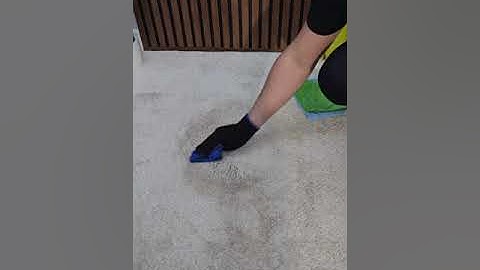 How to remove coffee stain from your carpet - Prolux Cleaning