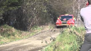 Team Rosselot Rally Mobil pucon 2012