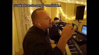 Szakadozott rongy vonódat mit sajnálod?!? - Covered by Jeró Music - 2023.