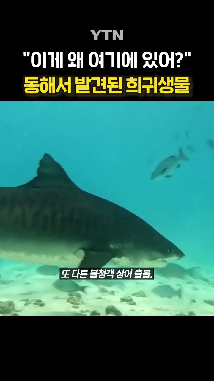 급변하는 해양생태계 #shorts / YTN