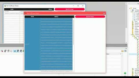 Lire une image depuis Oracle sous Windev