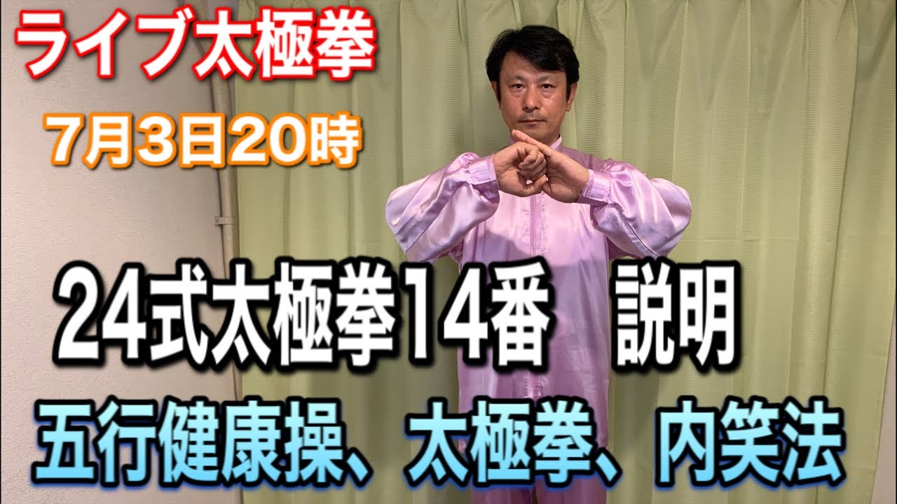 Tai Chi: Explanation of the 14th Movement of the 24-Form Tai Chi