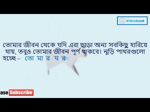 ভিডিও: অনুপ্রেরণার উত্স হিসাবে নুড়িপাথর