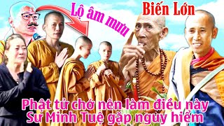 Có biến vạch trần âm mưu - Thiền Sư khuyên Sư Minh Tuệ hãy an trụ quê nhà | SNDT