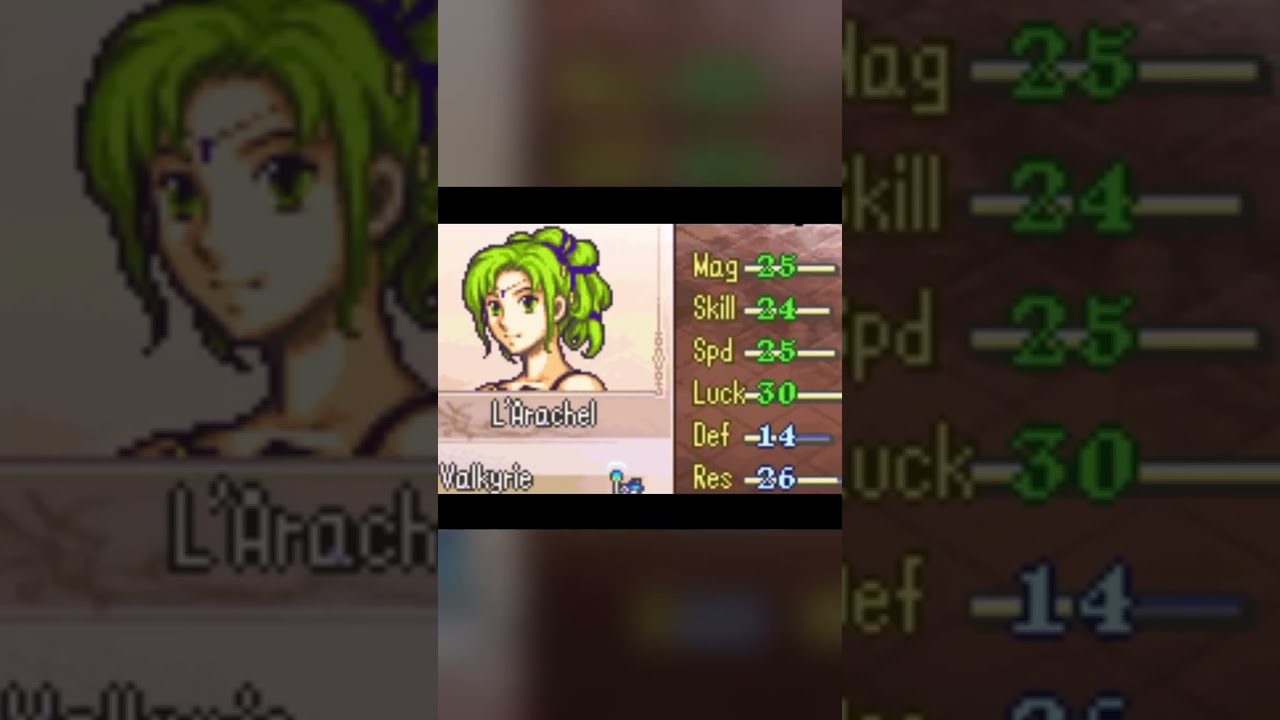 Your Average L Arachel