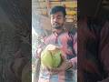 Professional Coconut Cutting Skills in 60 Seconds ⚡🥥