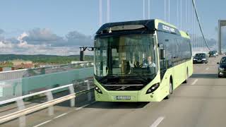 What is Drive Sustainability?