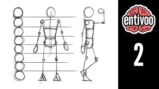 Aprende a dibujar el esqueleto y sus proporciones  Parte 1