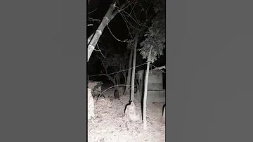 Horror Aswang Shorts Horrorstories Helloween Ayuwoki Gamehorror 
