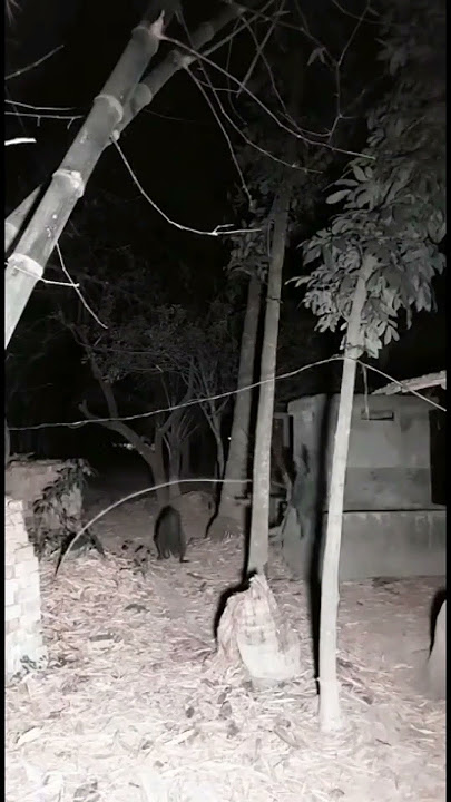 Download lagu horror aswang #shorts #horrorstories #helloween #ayuwoki #gamehorror