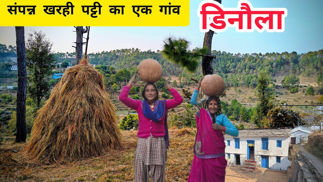 संपन्न खरही पट्टी का एक अनदेखा गांव- डिनौला #uttrakhandculture #travel #uttrakhandvillage 