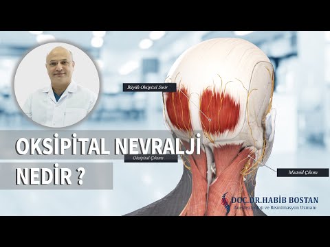 DOÇ. DR.HABİB BOSTAN  - OKSİPİTAL NEVRALJİ NEDİR ?