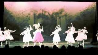 Waltz of the Flowers from Nutcracker