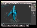 shalaby rigging reel 2010.wmv