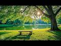 Beautiful Spring Music 2026 Stress Relief Music For Deep Relaxation 