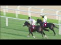 RM 37  Al Rayyan Race 2 -  Khor Al Adaid Cup