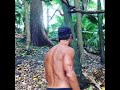 Jungle Muscle Ups - Happy New Year