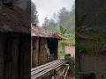 Cozy Cabin Rain for Anxiety & Sleep 💤 #ASMR #SlowLiving #Nature #Peaceful #Relaxation