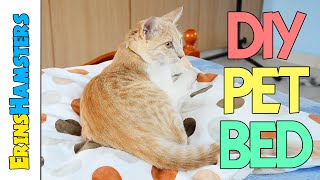 Diy Budget Pet Bed