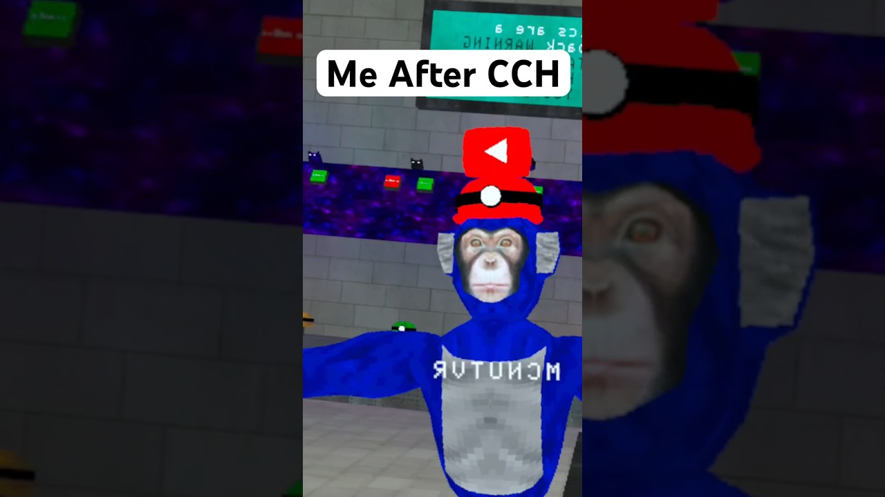 I Got Content Creator Hat!