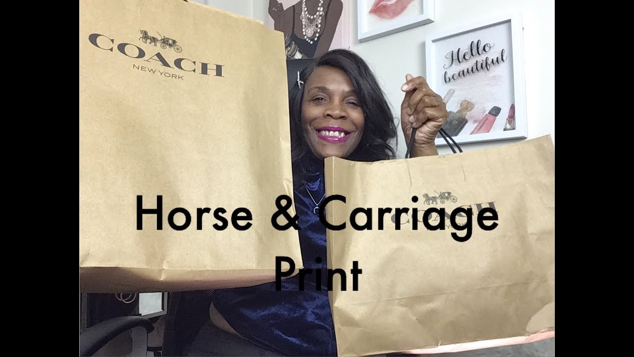 Coach Outlet New Horse & Carriage Print Versus Boutique Retail Store