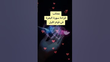 #الاستغفار #سورة_البقرة #اكسبلور #قصص #funny