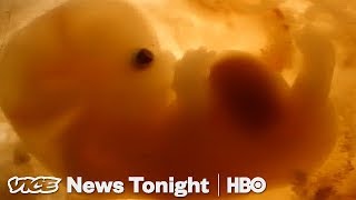 This Man Claims He Helped Make The World's First Genetically Edited Babies (HBO)